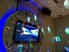 -悦汇商务会所KTV夜总会(佘山店)
