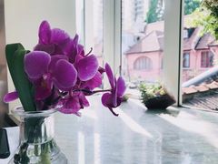 -蝶舍·MAISON PAPILLON