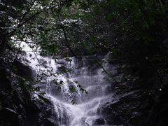 -长谷洞天