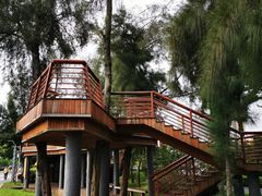 -宝安西湾红树林湿地公园