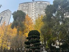 -温江公园