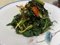 -森谷美食公园(杨行店)