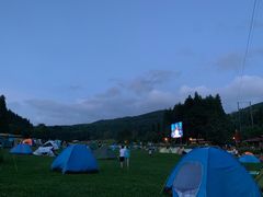 -武陵山森林公园
