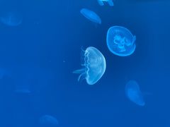 -多彩贵州城极地海洋世界