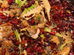 -老板恋上鱼(印象城店)