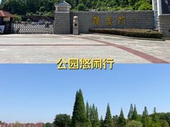 -宜兴龙背山森林公园