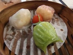 -点都德·毕德寮