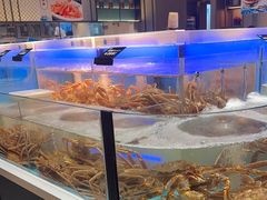 -同庆楼(滨湖万达广场店)