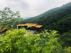 -铁山坪森林公园