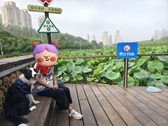-前关湿地公园