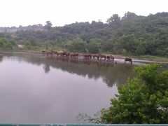 2014-08-16-苏州太湖牛仔风情度假村