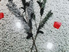-慢丽江·云南野生菌土鸡锅(西山店)