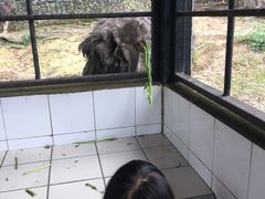 -吉隆坡雀鸟公园
