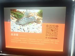 -台州海洋世界
