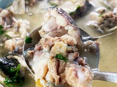 奶汤黑鱼-巩本明鱼屋子