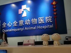 -全心全意连锁动物医院(加州店)