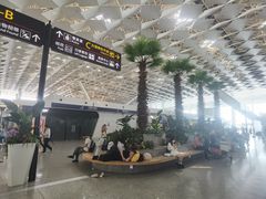 -郑州新郑国际机场-T2航站楼