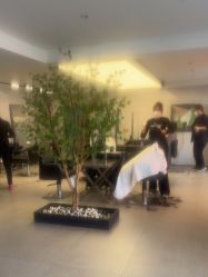 -付军剪艺JF ProSalon