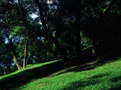 -蝴蝶泉公园