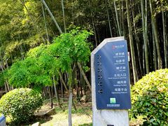 -峙山公园