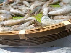 -集杰尚品海鲜烤肉自助餐厅(乳山振华店)