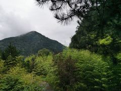 -黑河国家森林公园