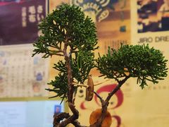 -本味友膳·茶餐厅(和达中心城店)