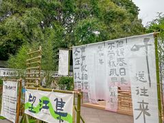 -望江楼公园