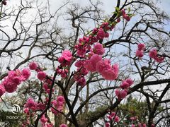 -海棠花溪(元大都城垣遗址公园)