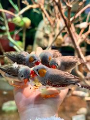 -Zoolung Zoolung动物主题公园(海信广场店)