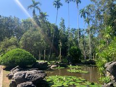 -中国科学院西双版纳热带植物园