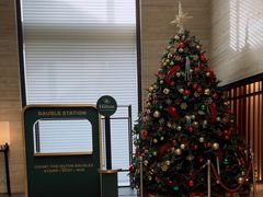 -新加坡乌节希尔顿酒店 (SG Clean)