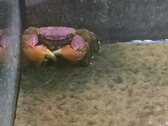-常州购物中心(天宁区)