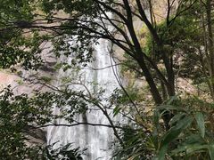 -百杖潭景区