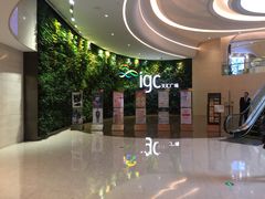 -喜茶(广州天汇igc店)