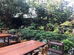 -绿光森林餐厅