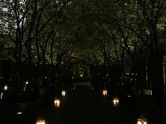 -香港尖沙咀凯悦酒店