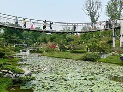 -东莞植物园