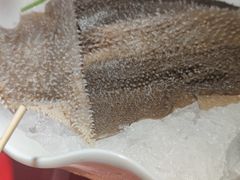 -二荆条·蜀鲜汇城市森林火锅