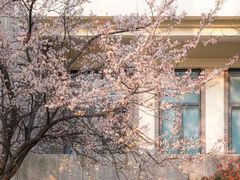 -上海大学(嘉定校区)