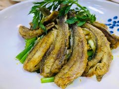 -金百万烤鸭店(马甸店)