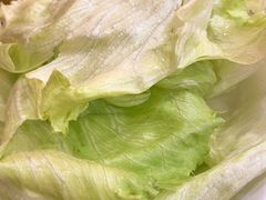 -蝎王府羊蝎子(北大地店)
