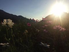 景点-广州市石门国家森林公园