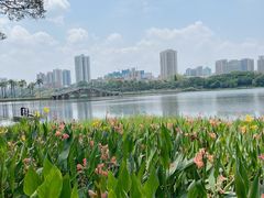 -南宁南湖公园
