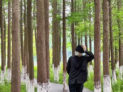 -艾溪湖湿地公园