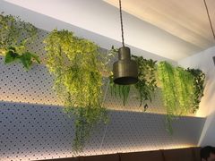大堂-大熊小厨(七星店)