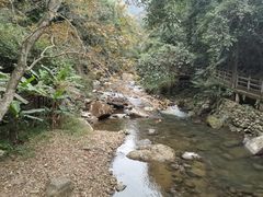-广州市石门国家森林公园