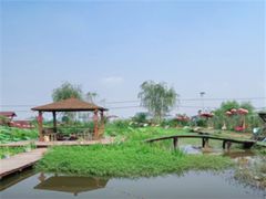 -同銮特种养殖场·龙虾垂钓