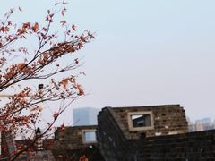 -楚望台遗址公园