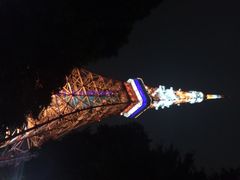 海贼王主题公园-东京塔海贼王主题公园